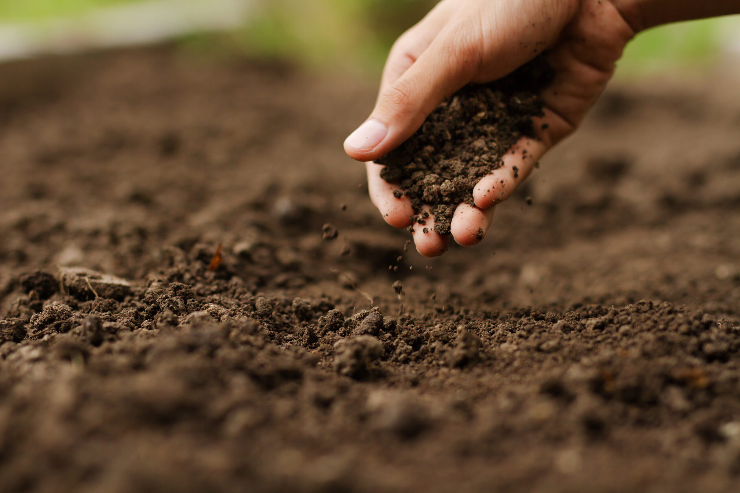 How to Improve Soil Health: Principles for Landowners to Know