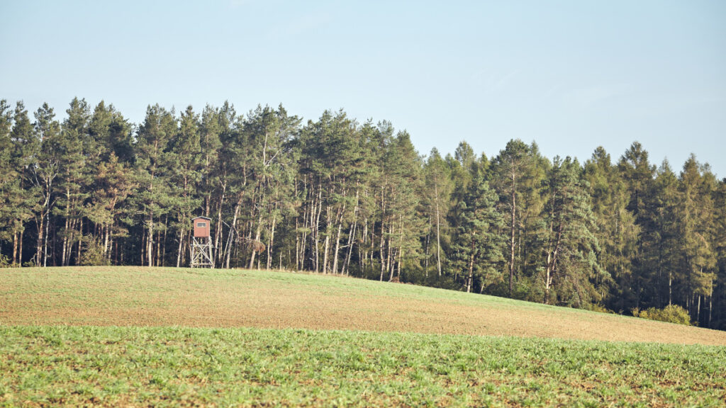 buying land