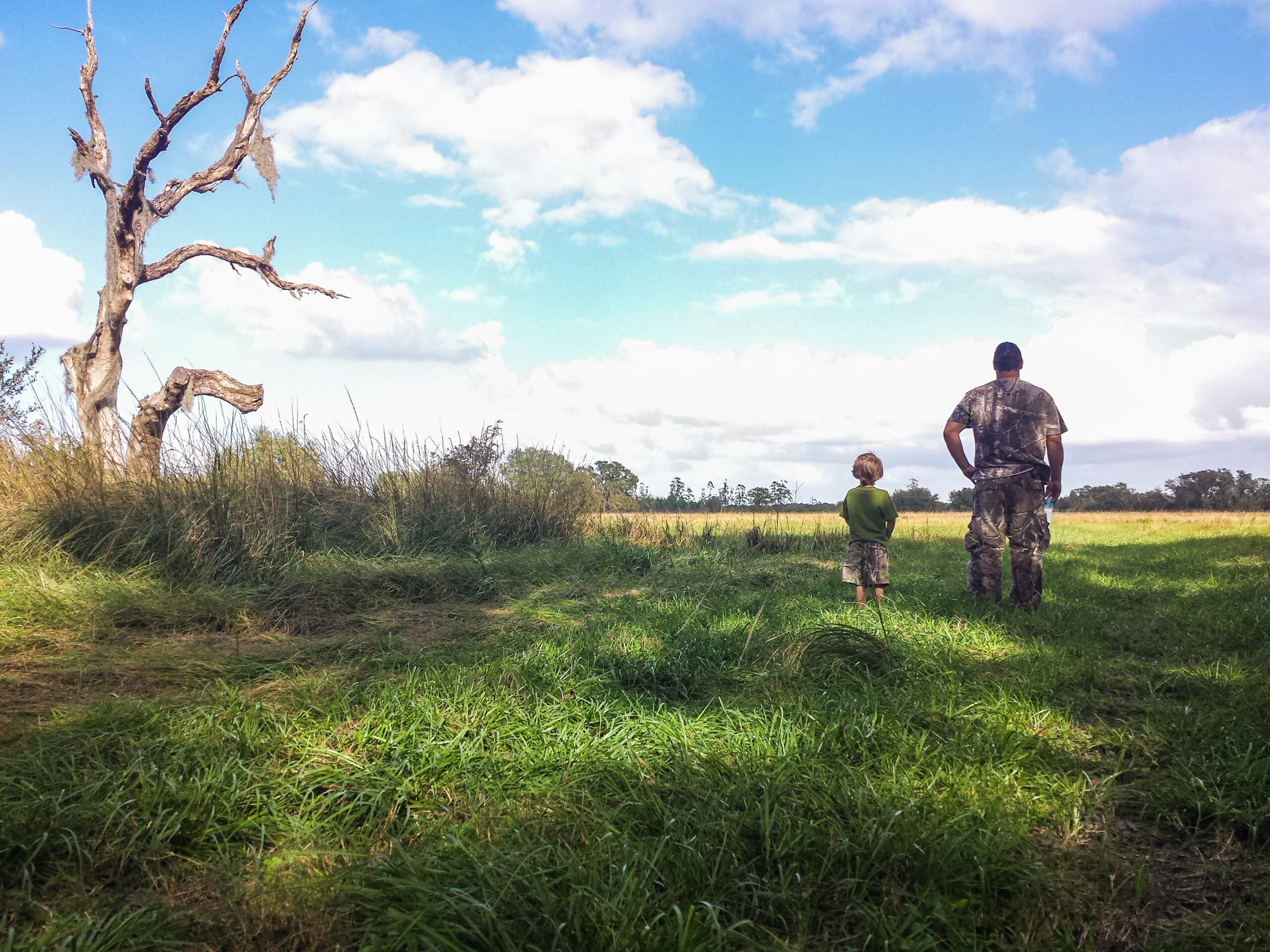 The Professional Hunter’s Guide to Buying Land
